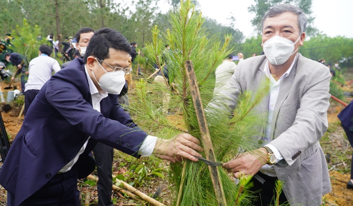 Thừa Thiên - Huế: Phát động Tết trồng cây Xuân Nhâm Dần 2022