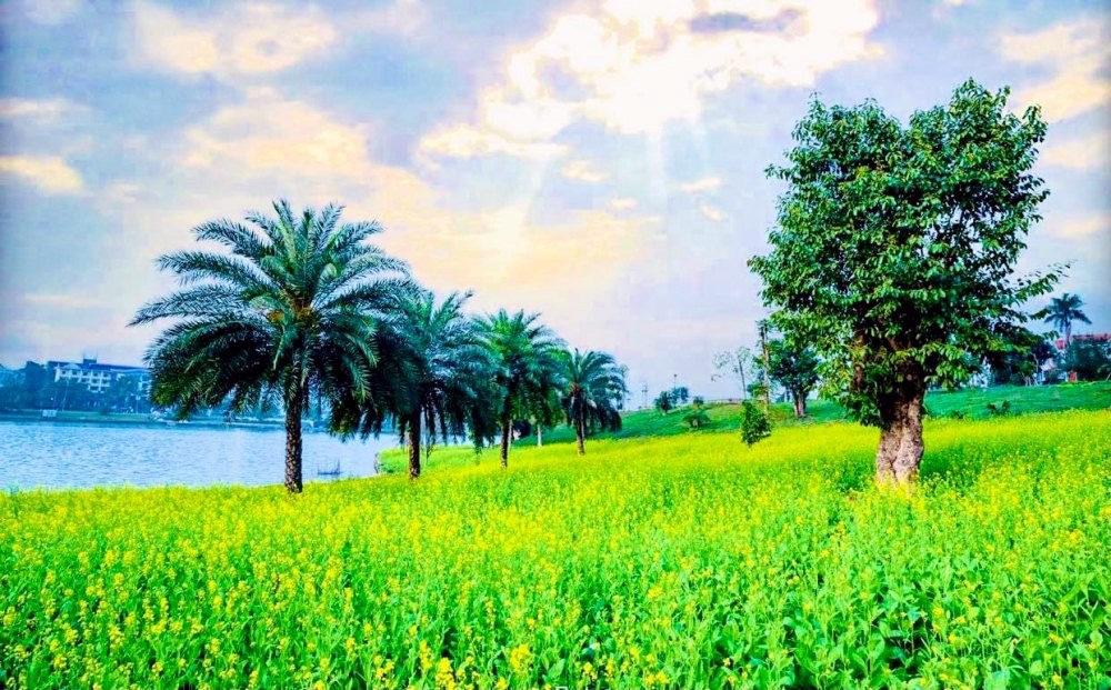 Phú Thọ: “Thiên đường sống ảo” thu hút du khách giữa lòng thành phố