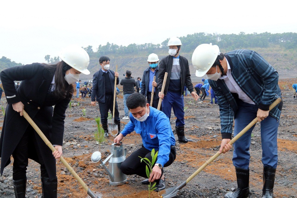 Quảng Ninh: Mỏ than trồng cây phủ xanh bãi thải cũ