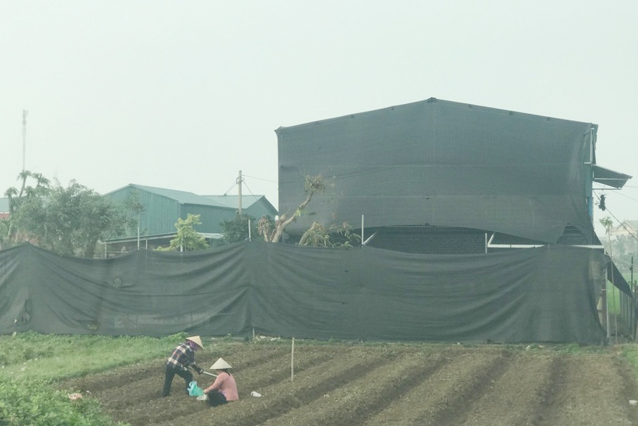 Vĩnh Phúc: Người dân xây dựng trái phép trên đất nông nghiệp