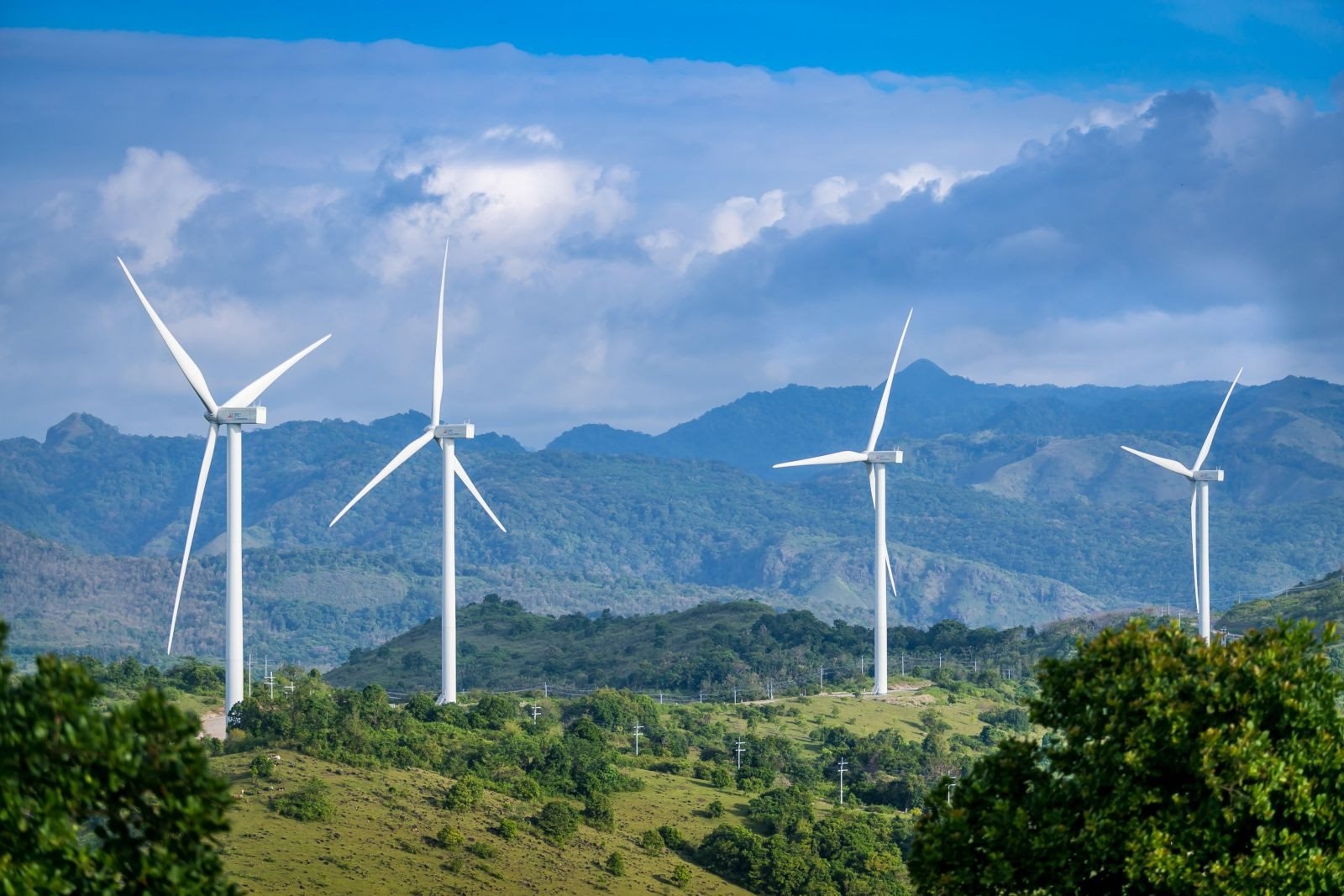 Dự án điện gió có được miễn thủ tục đăng ký môi trường?