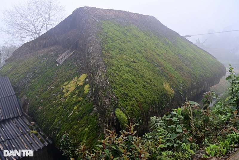 dep la ban lang voi hang chuc ngoi nha san phu kin reu xanh o ha giang