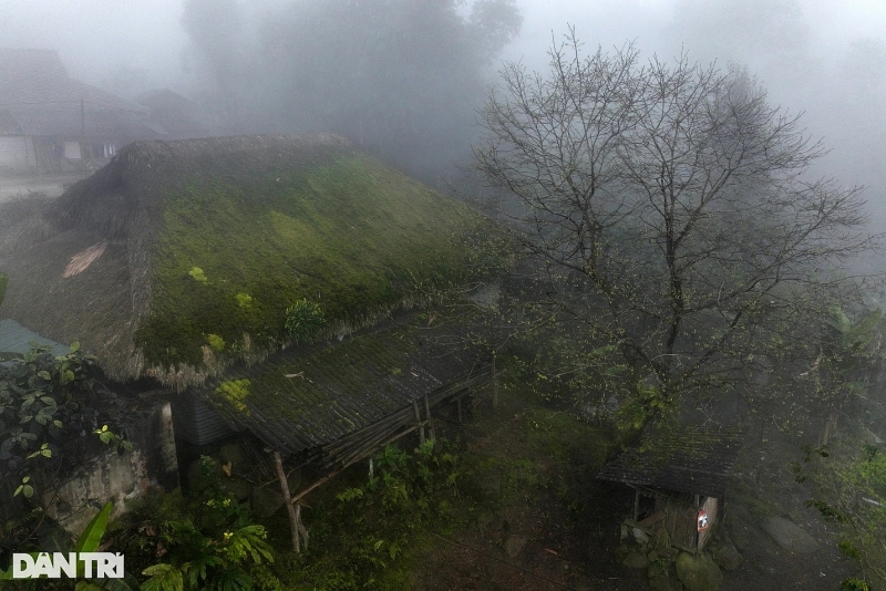 dep la ban lang voi hang chuc ngoi nha san phu kin reu xanh o ha giang