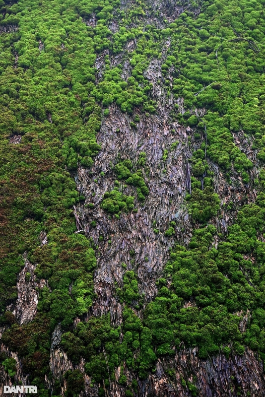 dep la ban lang voi hang chuc ngoi nha san phu kin reu xanh o ha giang