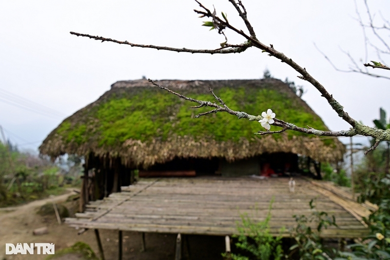 dep la ban lang voi hang chuc ngoi nha san phu kin reu xanh o ha giang