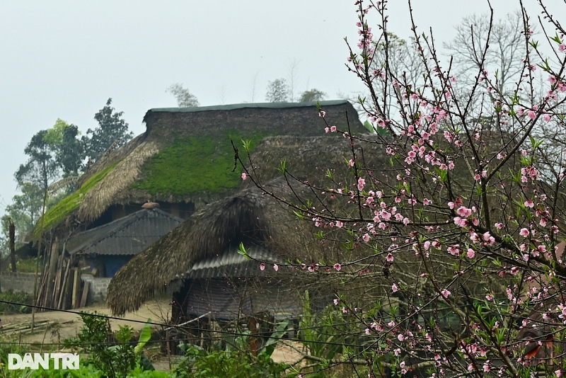 dep la ban lang voi hang chuc ngoi nha san phu kin reu xanh o ha giang