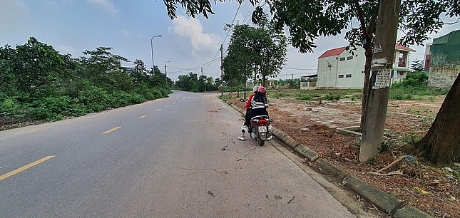 quang tri xu ly nghiem hanh vi thoi gia bat dong san de truc loi