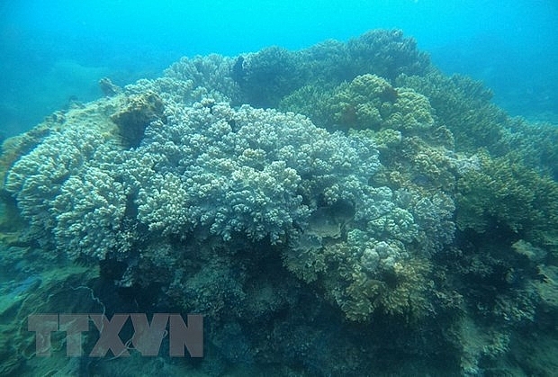 binh dinh dua quy nhon thanh diem den moi cua chau a