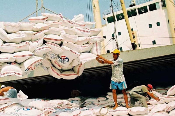 Mở hệ thống đăng ký tờ khai xuất khẩu gạo tồn tại cảng từ ngày 25/4