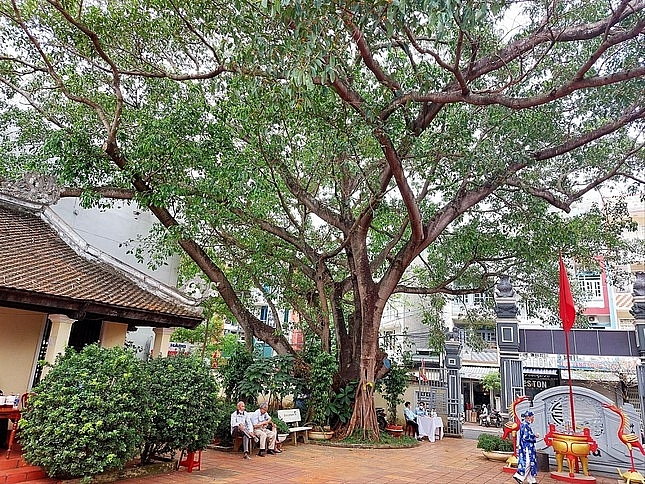 quanh ngoi dinh nguoi viet dau tien tren tay nguyen