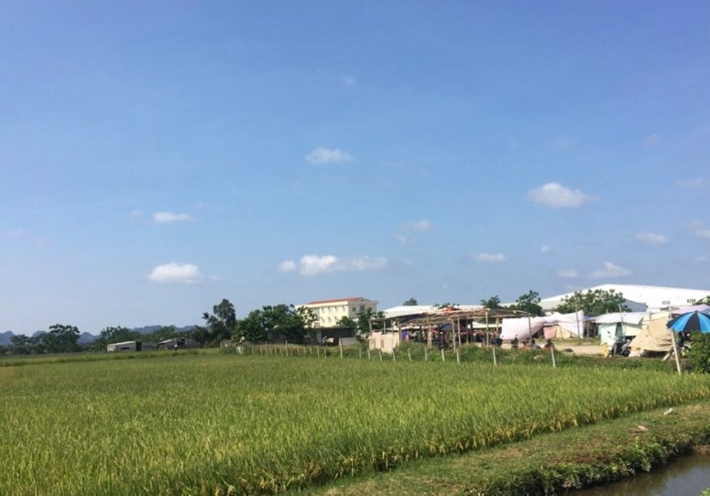 Thanh Hóa: Thành lập Cụm công nghiệp Nham Thạch