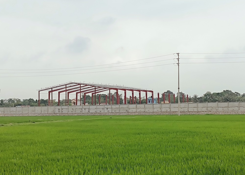 Thanh Hóa: Chiếm đất nông nghiệp, Công ty Lam Kinh bị phạt 120 triệu đồng