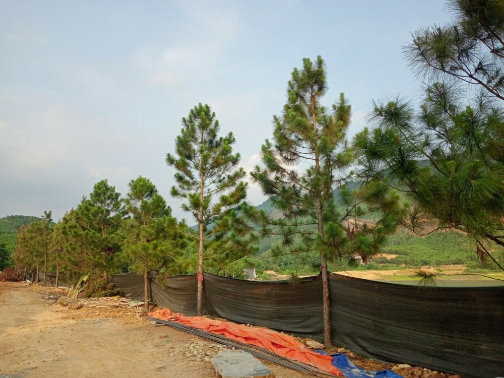 Phúc Yên (Vĩnh Phúc): Chính quyền xã Ngọc Thanh lên tiếng việc sử dụng đất tại hồ Trại Trâu