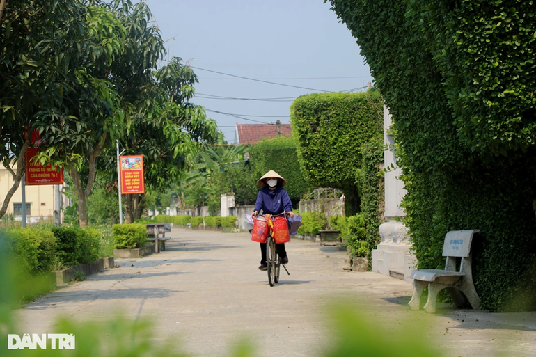 doc dao nhung cong nha tuyet dep tu cay duoi co thu