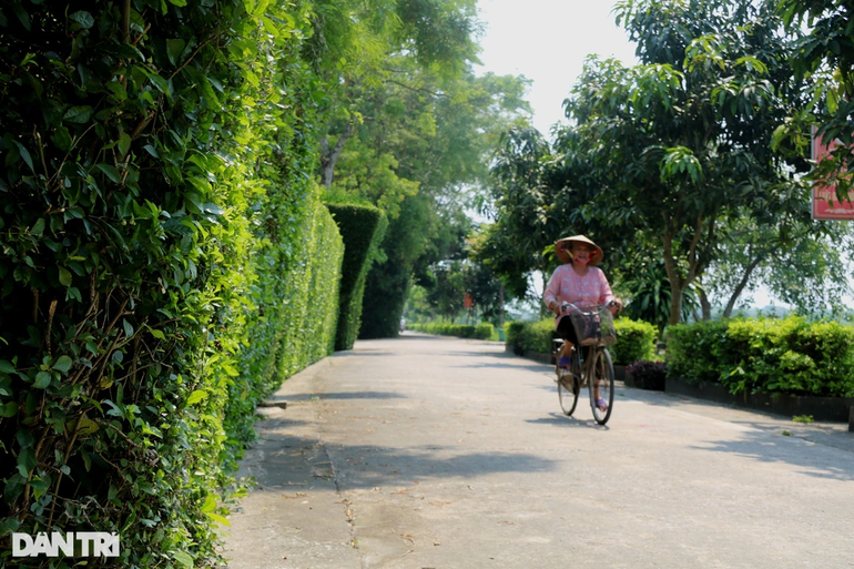 doc dao nhung cong nha tuyet dep tu cay duoi co thu