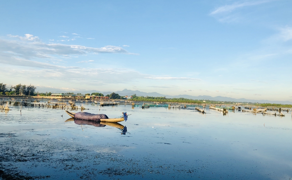 Thừa Thiên – Huế: Thành lập khu bảo tồn thiên nhiên đất ngập ngước Tam Giang – Cầu Hai