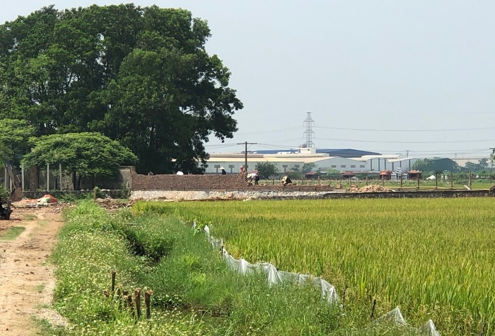 Hà Nội: Chính quyền xã Kim Hoa quản lý yếu kém, hay “làm ngơ” cho doanh nghiệp tự ý mua đất lúa để làm công nghiệp?