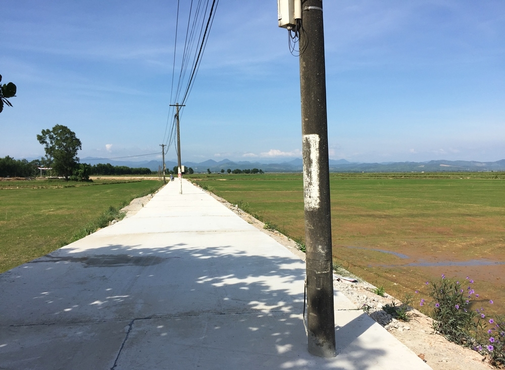 Quảng Bình: Yêu cầu chủ đầu tư phối hợp để di dời các cột điện “mọc” giữa đường