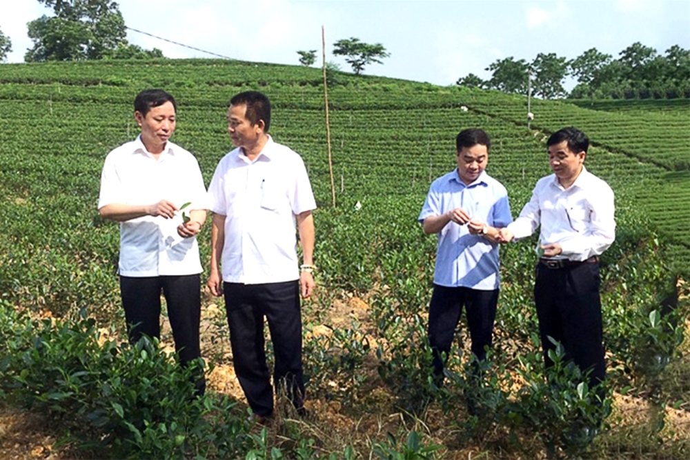 Thái Nguyên: Đẩy nhanh chuyển đổi số của ngành Nông nghiệp và Phát triển nông thôn