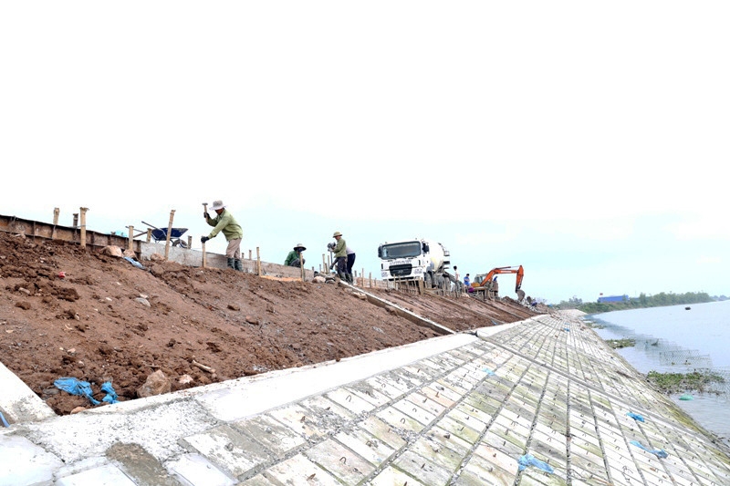 Thanh Hoá: Phê duyệt dự án tu bổ, nâng cấp đê hữu sông Hoạt đoạn qua huyện Nga Sơn