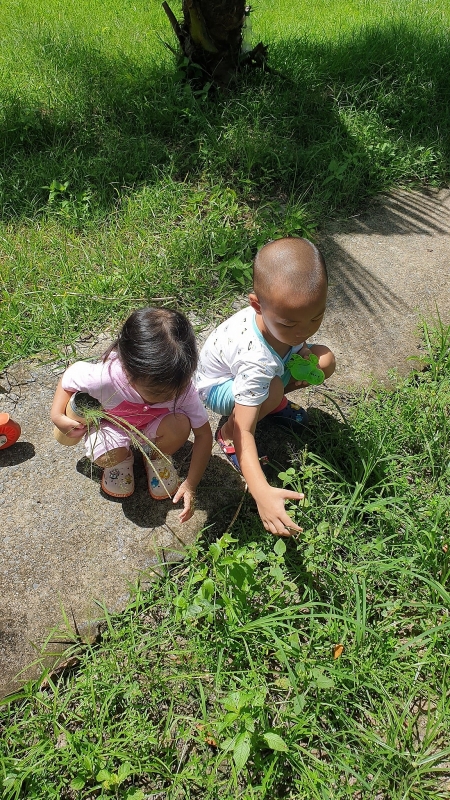 cuoc song o trang trai cua gia dinh ly hai