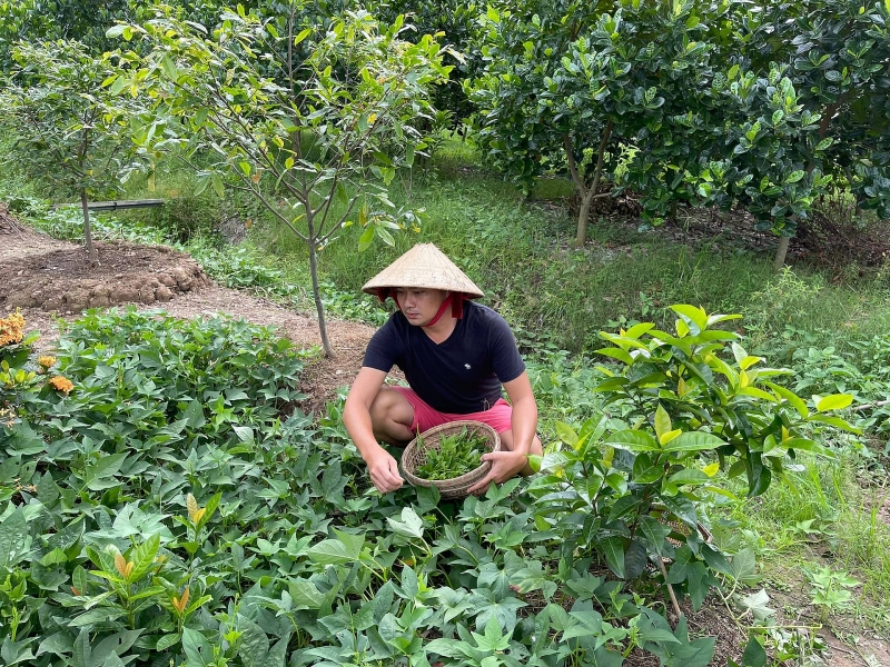 cuoc song o trang trai cua gia dinh ly hai