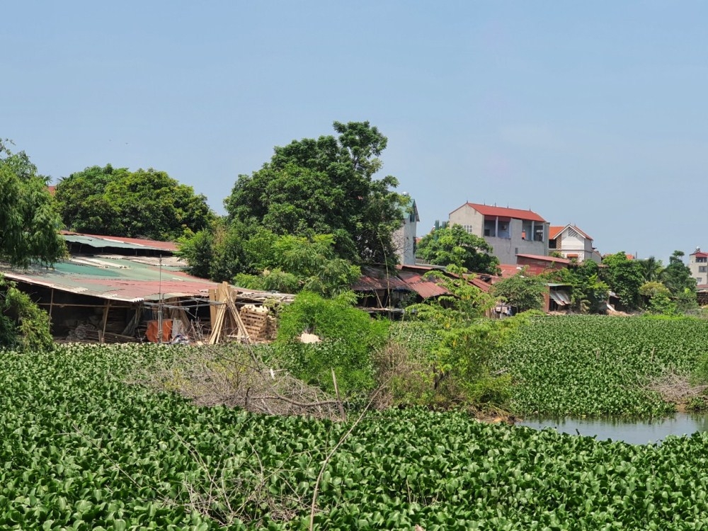 Vĩnh Phúc: Xác minh vi phạm đất đai tại thị trấn Yên Lạc