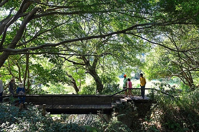 24 gia dinh tau manh dat 8000 m2 dung ngoi lang bong lai tien canh