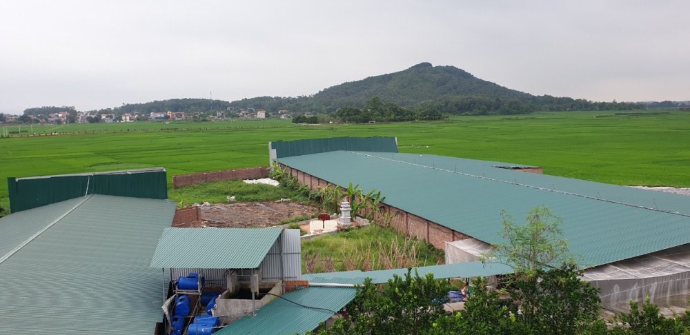 Phú Bình (Thái Nguyên): Tràn lan tình trạng xây dựng trái phép trên đất nông nghiệp