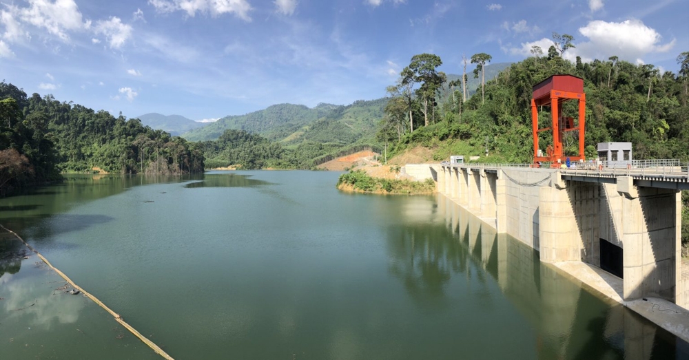 Quảng Ngãi: Nghiên cứu chuyển mục đích đất rừng để làm thủy điện
