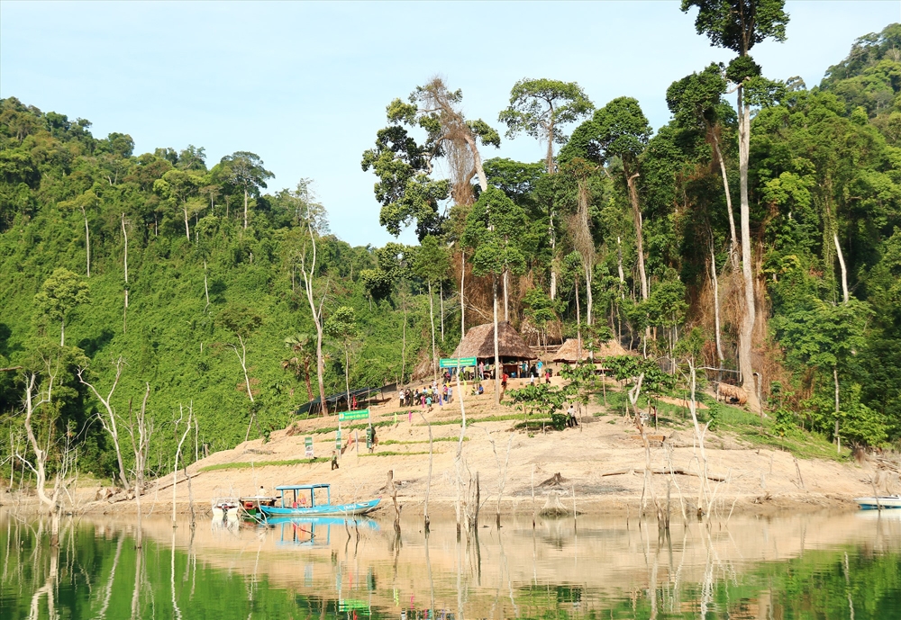 Thành lập Ban Quản lý Vườn quốc gia Sông Thanh trực thuộc UBND tỉnh Quảng Nam