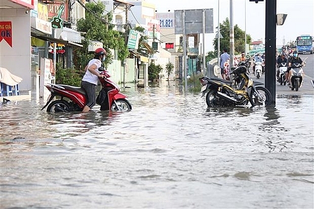 go vuong cho du an chong ngap nghin ty tai thanh pho ho chi minh