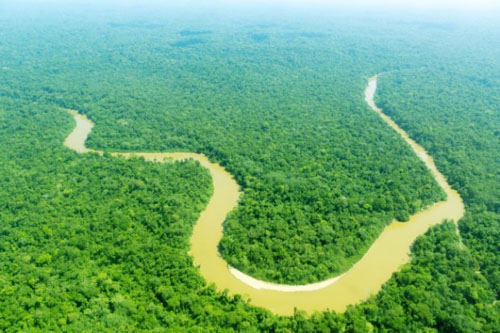 Những dòng sông dài nhất thế giới