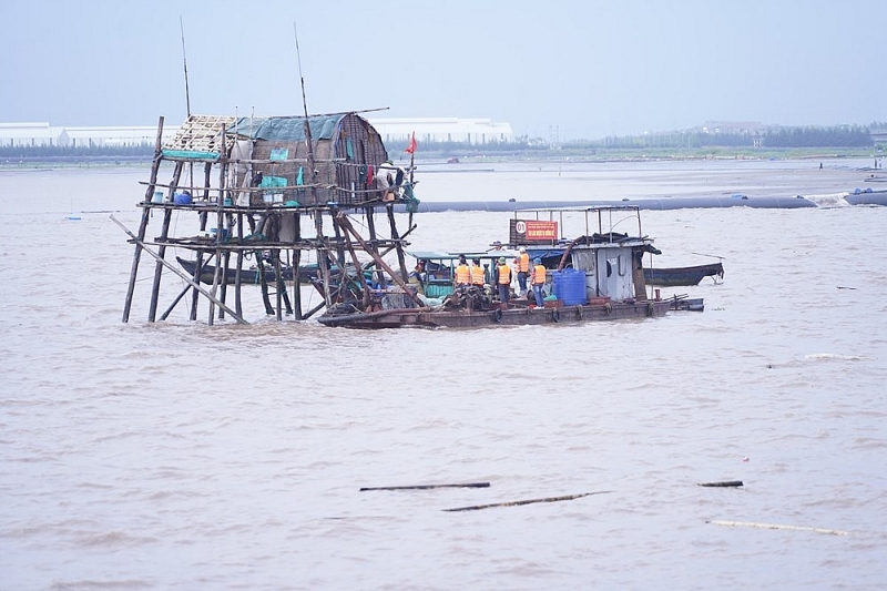 hai an hai phong to chuc bien phap cuong che doi voi 12 ho dan nuoi trong thuy san khong phep