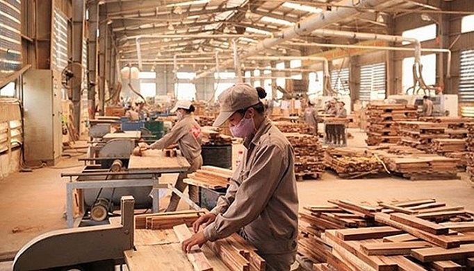 Việt Nam - Mỹ ký thỏa thuận kiểm soát khai thác và thương mại gỗ bất hợp pháp