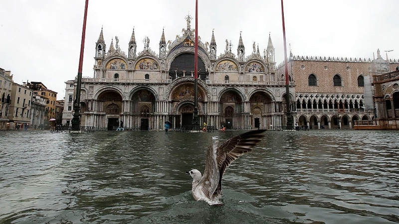 Venice 'thất thủ' vì triều cường cao nhất trong 50 năm