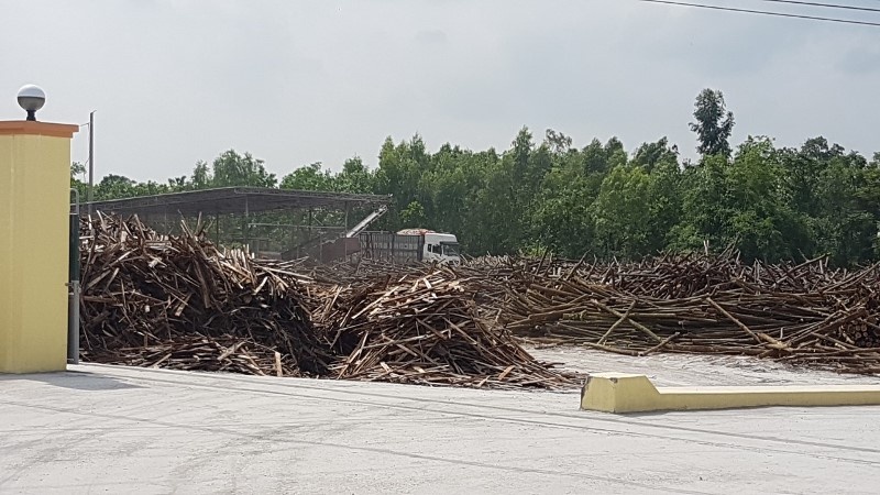 Uông Bí (Quảng Ninh): 2 xưởng băm dăm gỗ mở trái phép trong khu dân cư