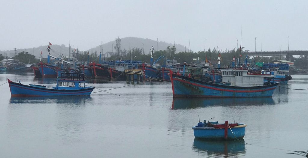 Ninh Thuận: Di dời hàng nghìn người dân đến nơi an toàn để phòng tránh bão số 12