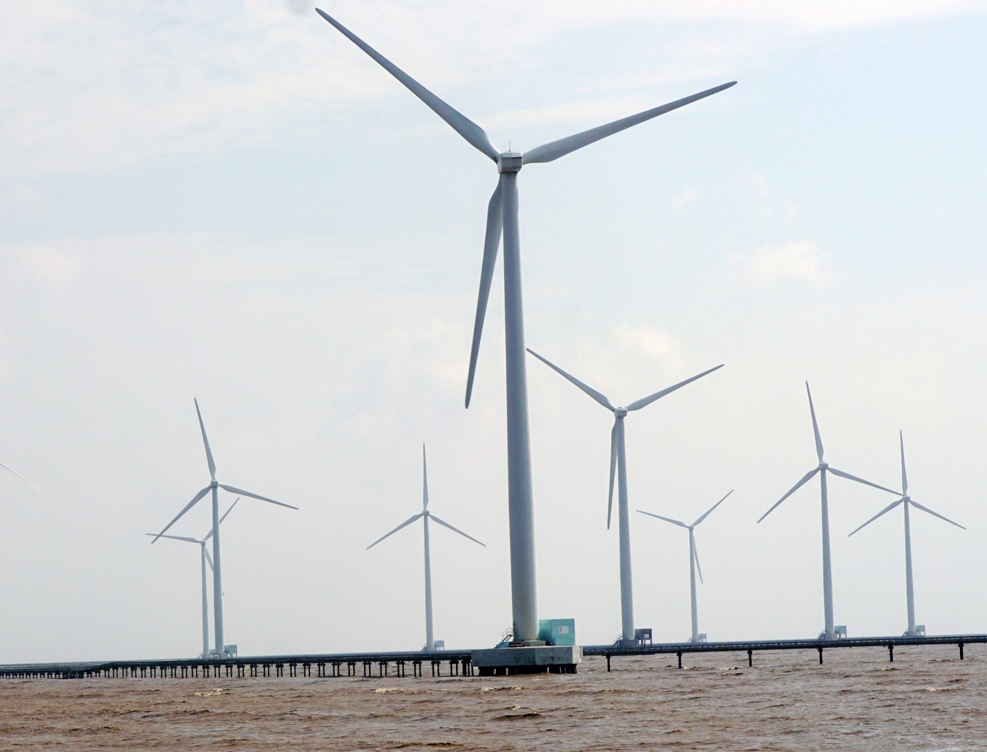 Bến Tre: Xử phạt vi phạm hành chính việc khai thác trái phép năng lượng gió đối với Công ty Cổ phần Điện gió Mê Kông