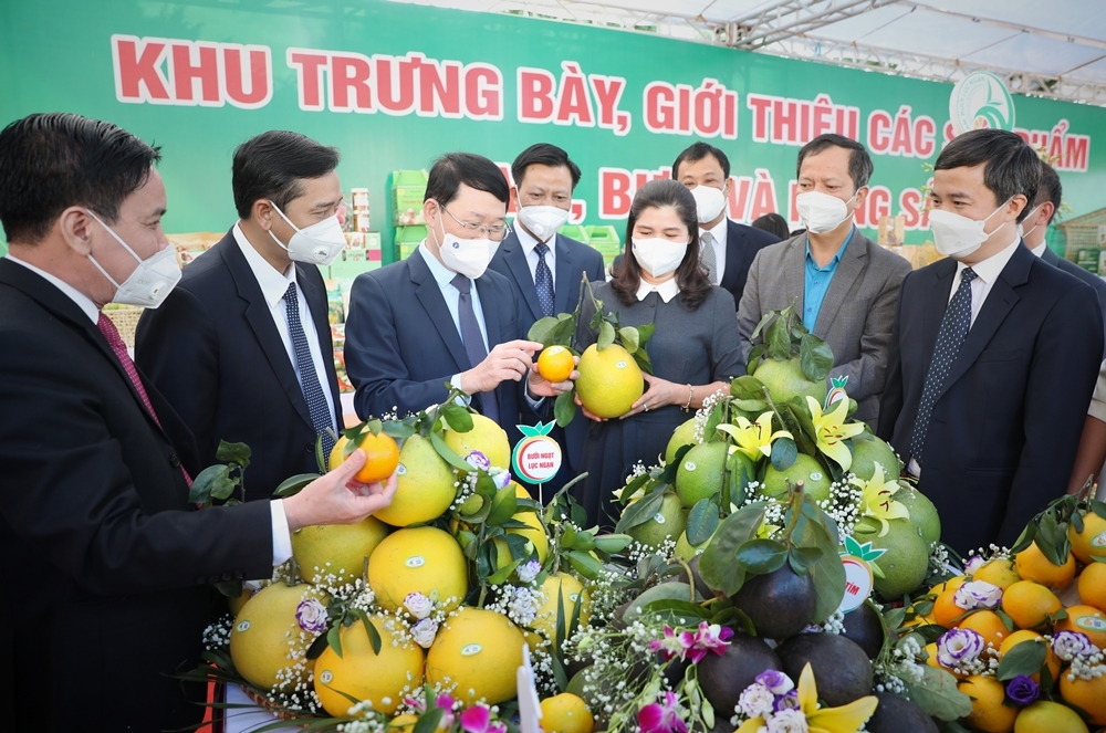 Bắc Giang: Tổ chức Hội nghị trực tuyến tiêu thụ nông sản chủ lực