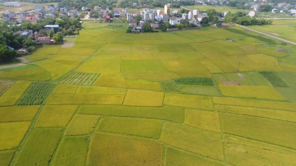 Thái Nguyên: Quyết tâm xây dựng huyện Phú Bình đạt chuẩn nông thôn mới năm 2022