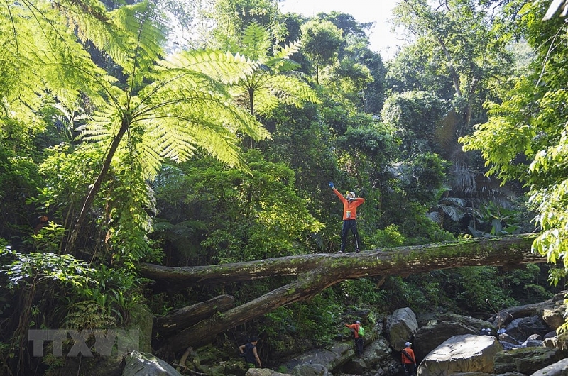 quang binh khai thac san pham du lich khe nuoc trong suoi tien