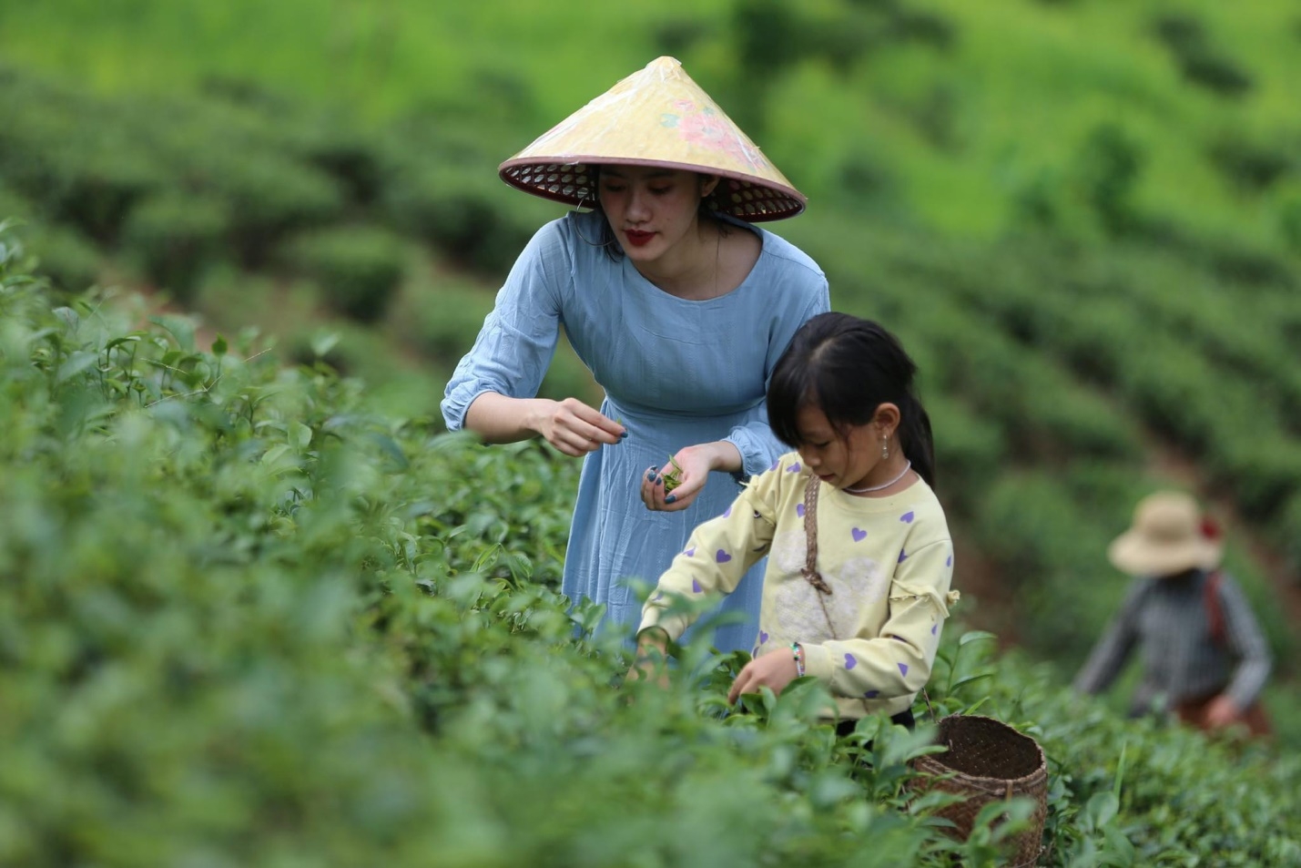 Du lịch nông thôn sẽ là chủ lực của du lịch Việt Nam sau đại dịch