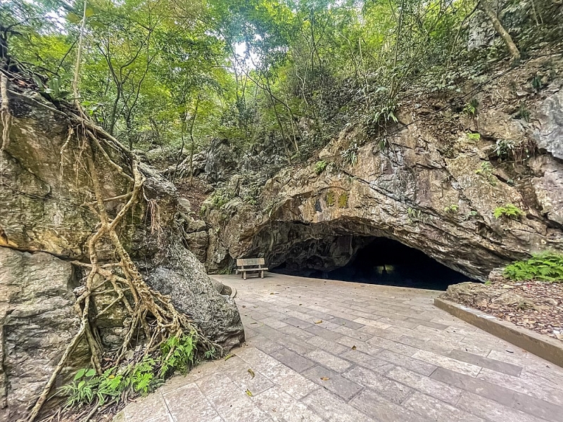 nhung dia diem ghi dau lich su ngay toan quoc khang chien o ha noi