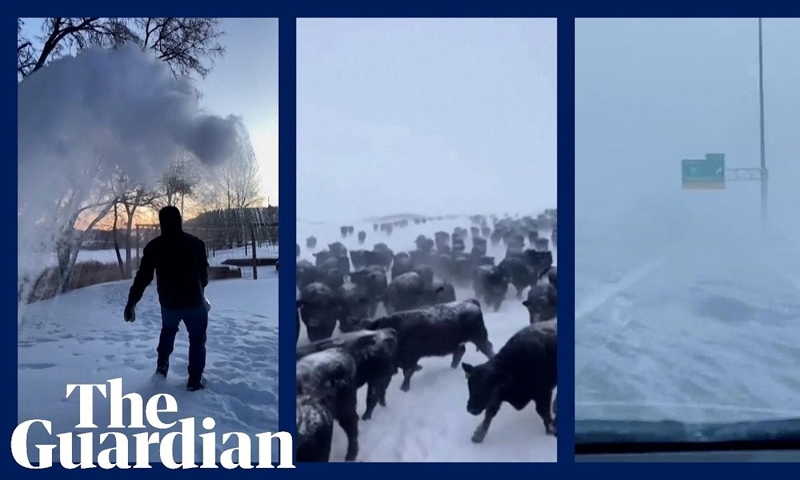 Trận bão tuyết lịch sử khiến hơn 30 người chết ở Mỹ