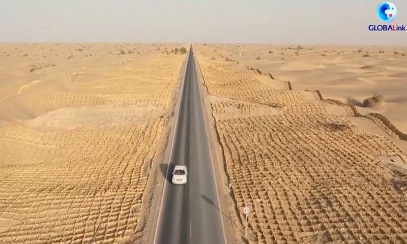 Xem công nhân 'trồng' cỏ khô bảo vệ tuyến đường nằm giữa sa mạc lớn nhất Trung Quốc