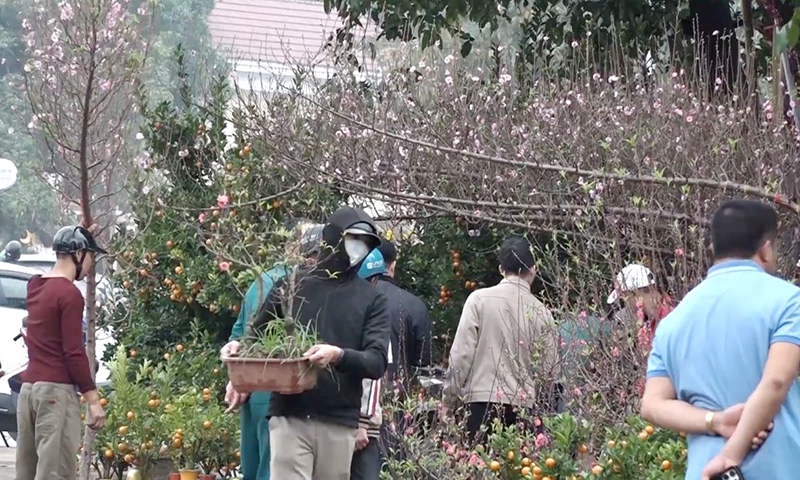 Nghệ An: Quy hoạch chợ hoa, cây cảnh tại thành phố Vinh