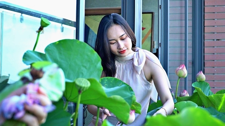 Vợ chồng Hà Nội trồng hồ sen trên penthouse 300 m2 'du lịch' tại gia