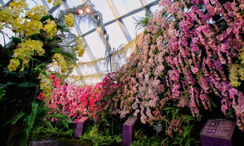 Vườn hoa khổng lồ như cổ tích ở Singapore