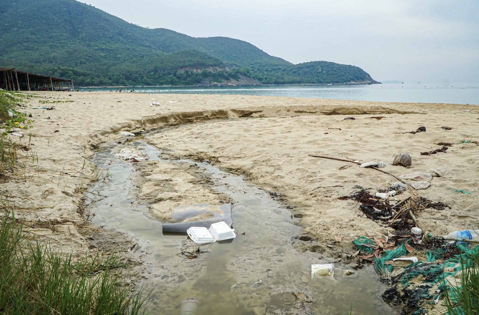 Nước thải từ trang trại nuôi tôm xả thẳng ra biển Bãi Dài